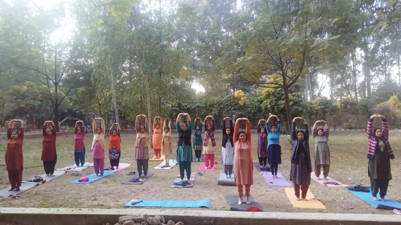 People are enjoying a healthy life under CM's yoga shala - SDM Derabassi Amit Gupta
